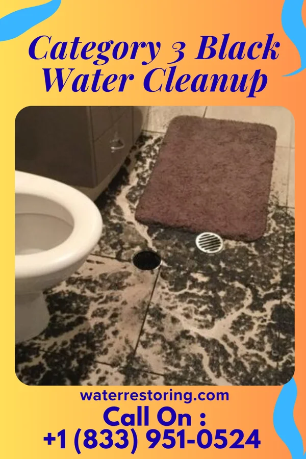 Category 3 Black Water Cleanup in Stilwell, OK